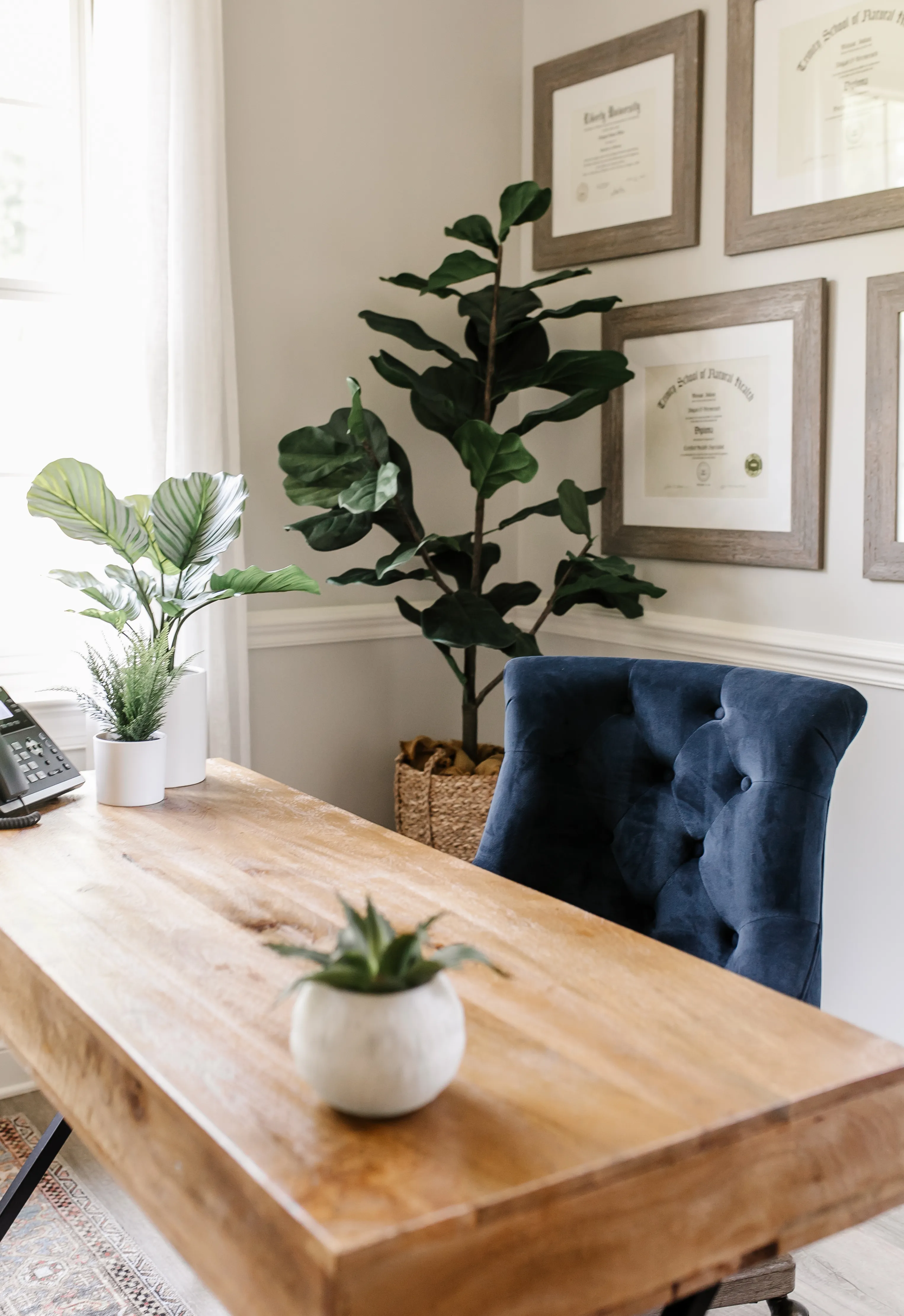 The consultation room at Genesis Functional Wellness — a calm, unhurried space
